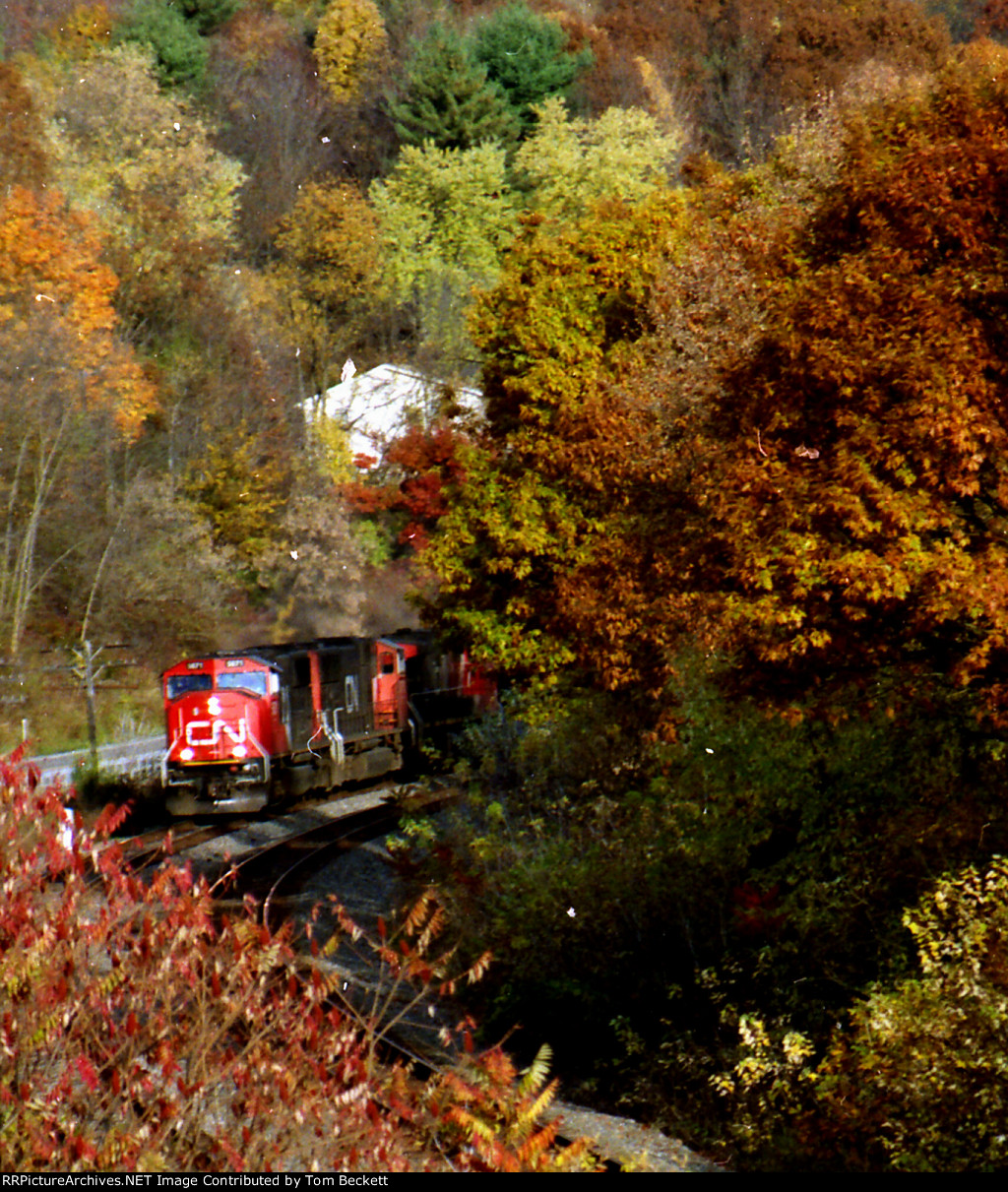 Fall color along the Susquehanna